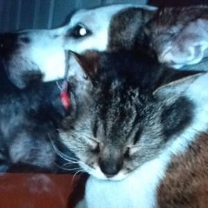 Meet your Posher, Cathy